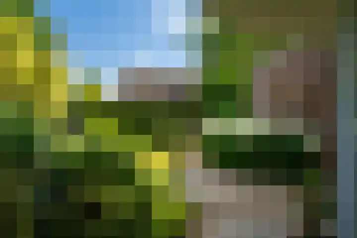 Hogelandstraat 6 Giessen thumbnail 24