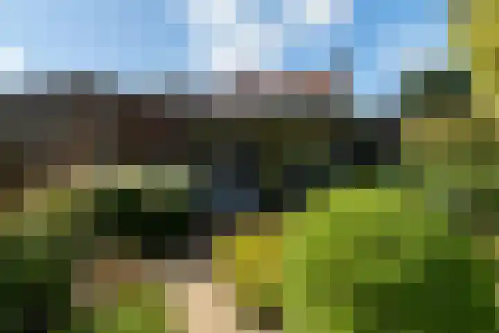 Hogelandstraat 6 Giessen thumbnail 25