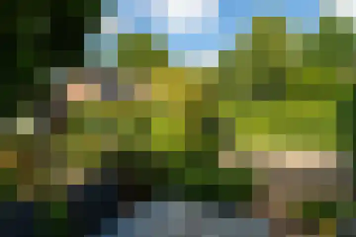 Hogelandstraat 6 Giessen thumbnail 26