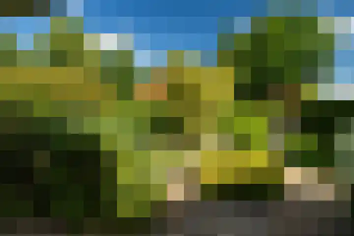 Hogelandstraat 6 Giessen thumbnail 27