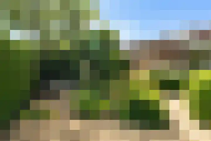 Hogelandstraat 6 Giessen thumbnail 28
