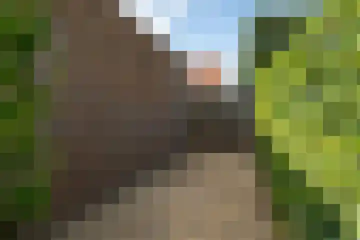 Hogelandstraat 6 Giessen thumbnail 31