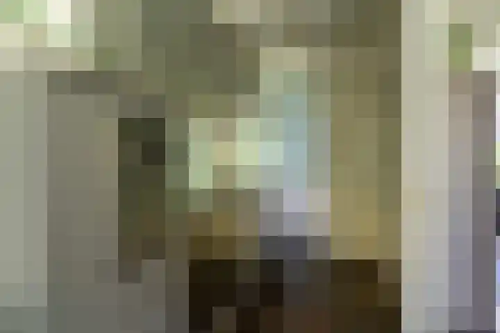 Hogelandstraat 6 Giessen thumbnail 8