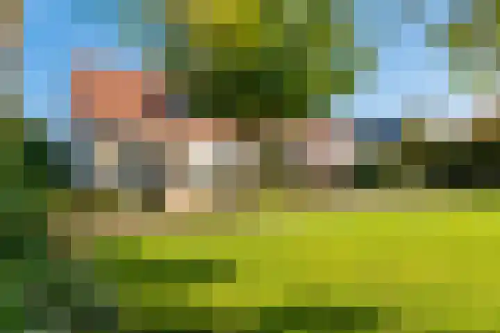 Hogelandstraat 8 Oldenzaal thumbnail 5