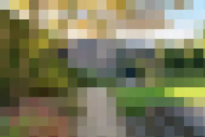 Hogelandstraat 8 Oldenzaal thumbnail 51