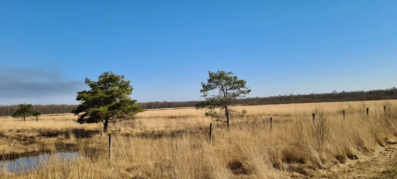 Mannschaftsfoto von Hogelink Makelaardij