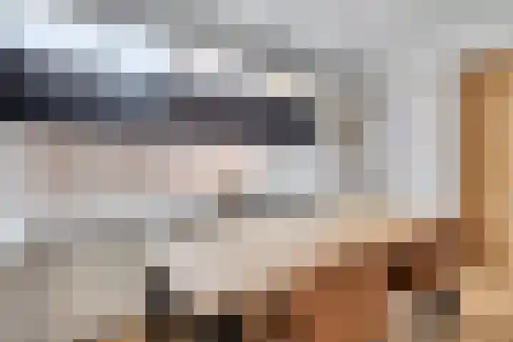 Hogeluchtsweg 21 Wierden thumbnail 10
