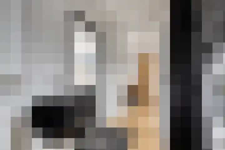 Hogeluchtsweg 21 Wierden thumbnail 16