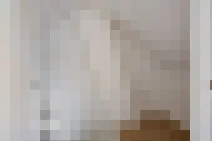 Hogeluchtsweg 21 Wierden thumbnail 24