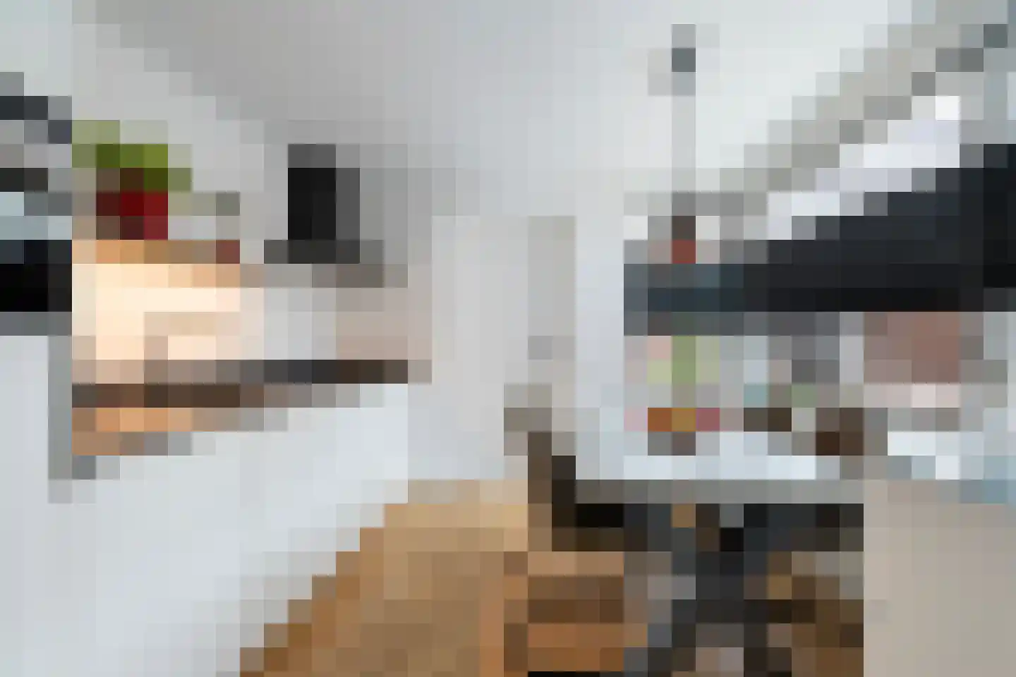 Hogeluchtsweg 21 Wierden thumbnail 4