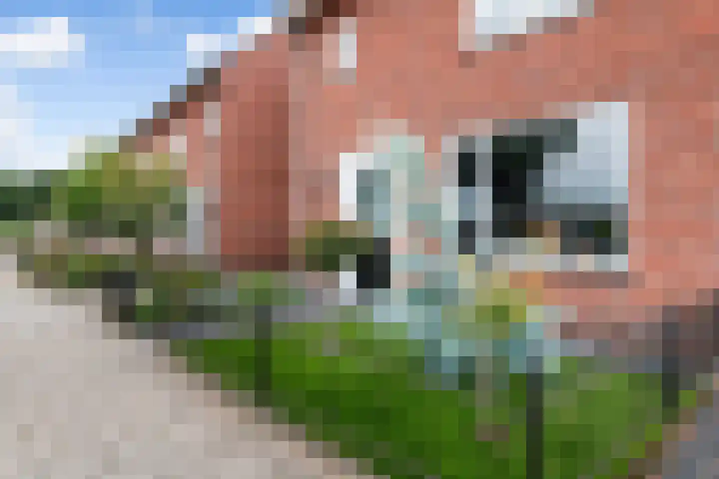 Hogeluchtsweg 21 Wierden thumbnail 42