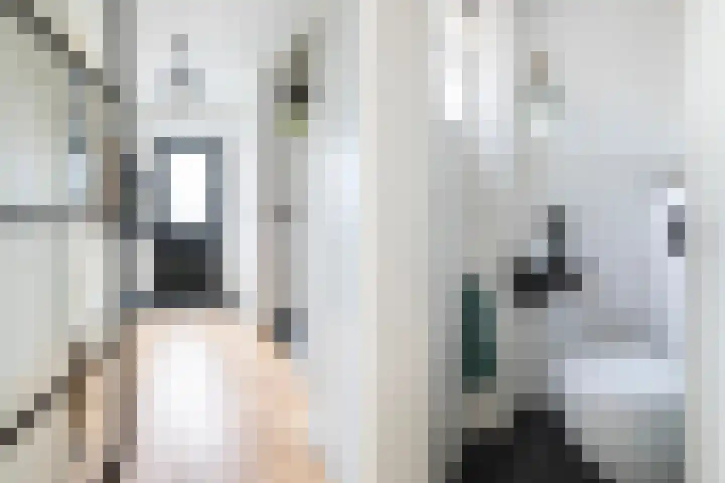 Hogeluchtsweg 21 Wierden thumbnail 7