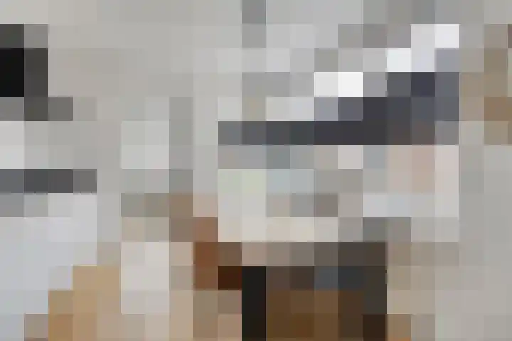 Hogeluchtsweg 21 Wierden thumbnail 9