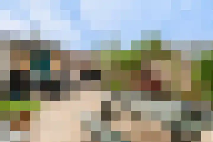 Hogemaad 7 Velserbroek thumbnail 22