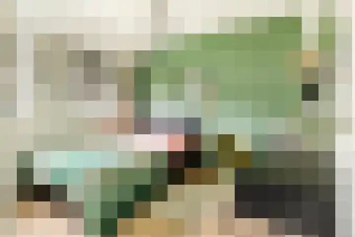 Hogemaad 7 Velserbroek thumbnail 30