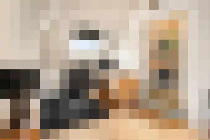 Hogemaad 7 Velserbroek thumbnail 37