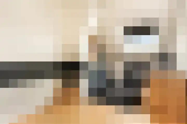 Hogemaad 7 Velserbroek thumbnail 38