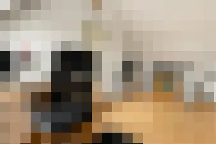 Hogemaad 7 Velserbroek thumbnail 39