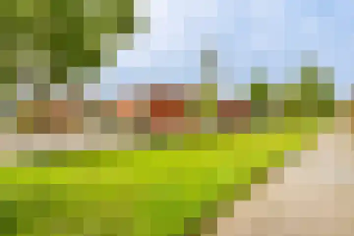 Hogemaad 7 Velserbroek thumbnail 40