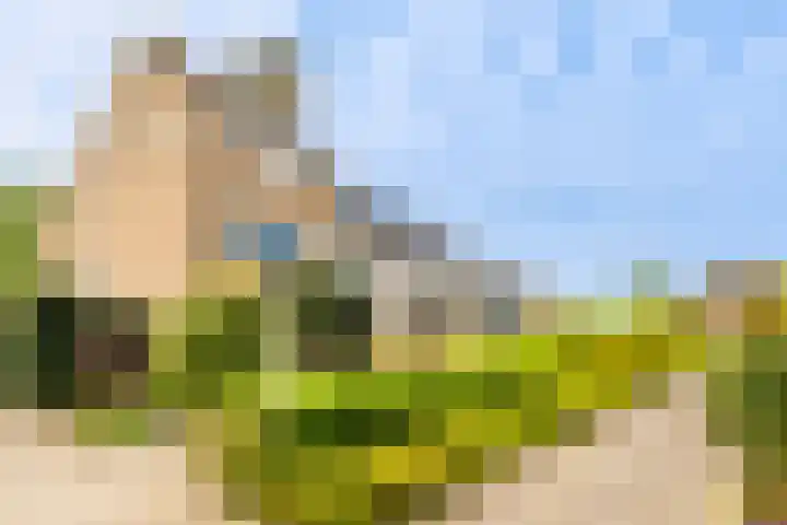 Hogemaad 7 Velserbroek thumbnail 5
