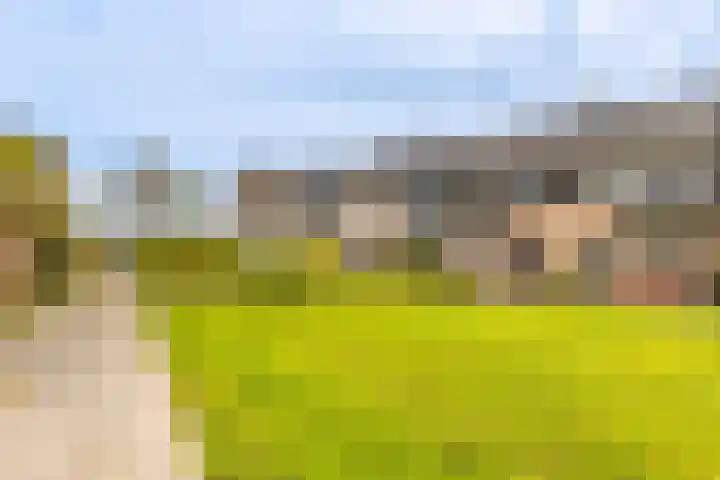 Hogemaad 7 Velserbroek thumbnail 8