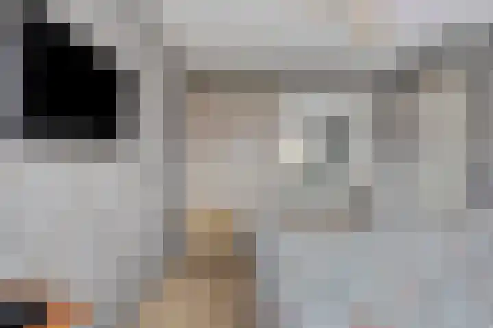 Hogemaad 89 Velserbroek thumbnail 11