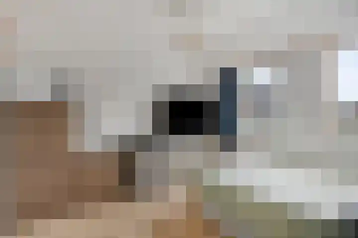 Hogemaad 89 Velserbroek thumbnail 12