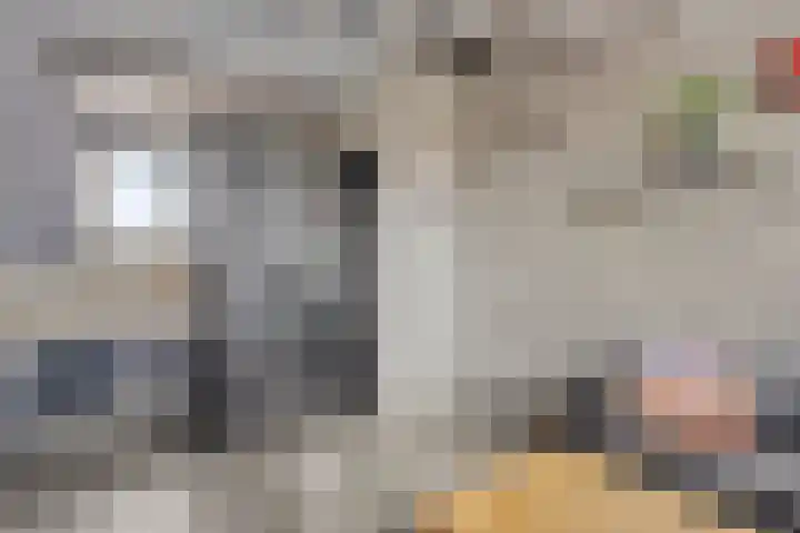 Hogemaad 89 Velserbroek thumbnail 17