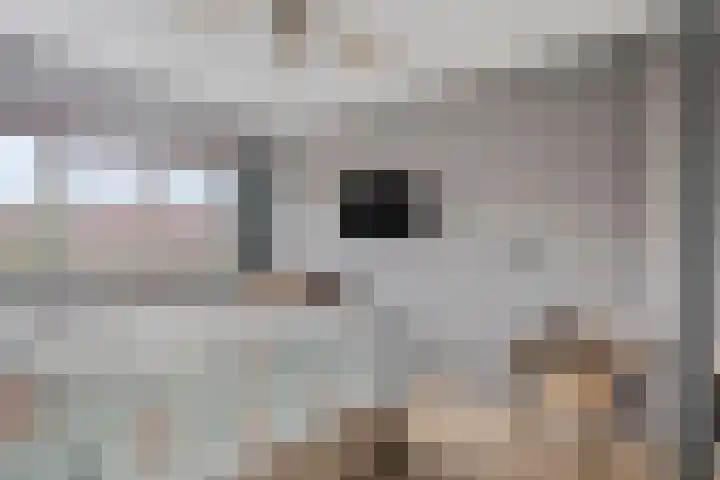Hogemaad 89 Velserbroek thumbnail 4