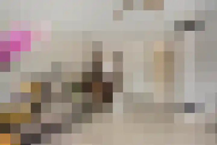 Hogemaad 89 Velserbroek thumbnail 9