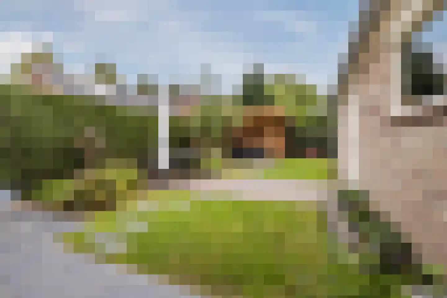 Hogenackerstraat 10 Moergestel thumbnail 34