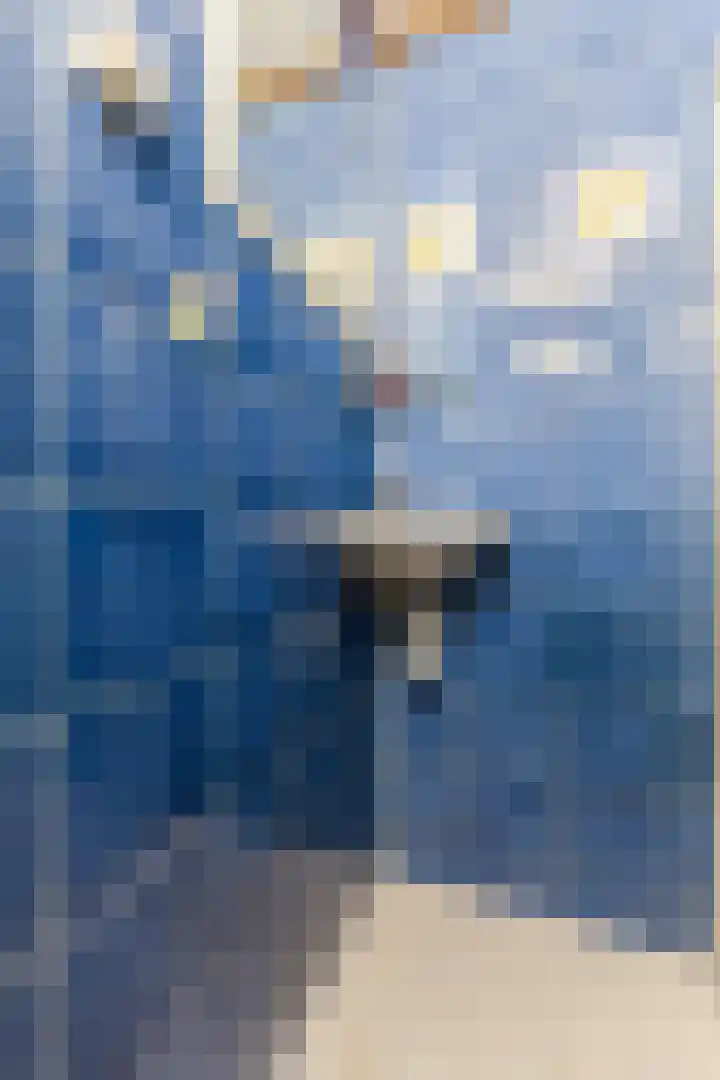 Hogenbanweg 100 C Rotterdam thumbnail 23