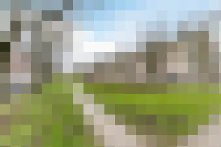 Hogenbanweg 100 C Rotterdam thumbnail 32