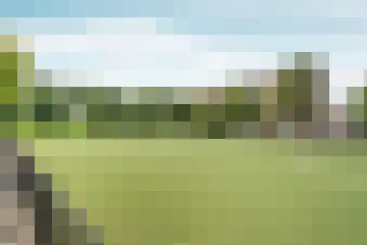 Hogenbanweg 146 C Rotterdam thumbnail 36