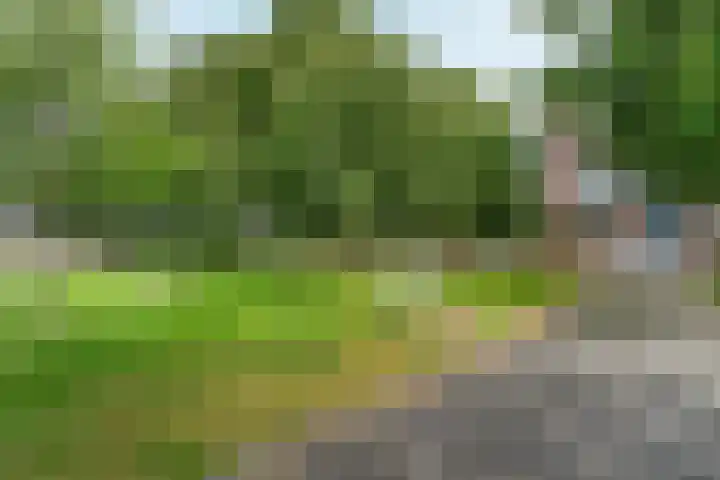 Hogenbanweg 146 C Rotterdam thumbnail 37