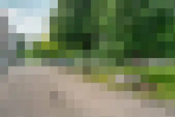 Hogenbanweg 146 C Rotterdam thumbnail 38