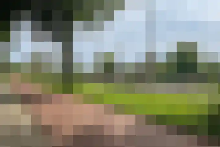 Hogenbanweg 146 C Rotterdam thumbnail 41
