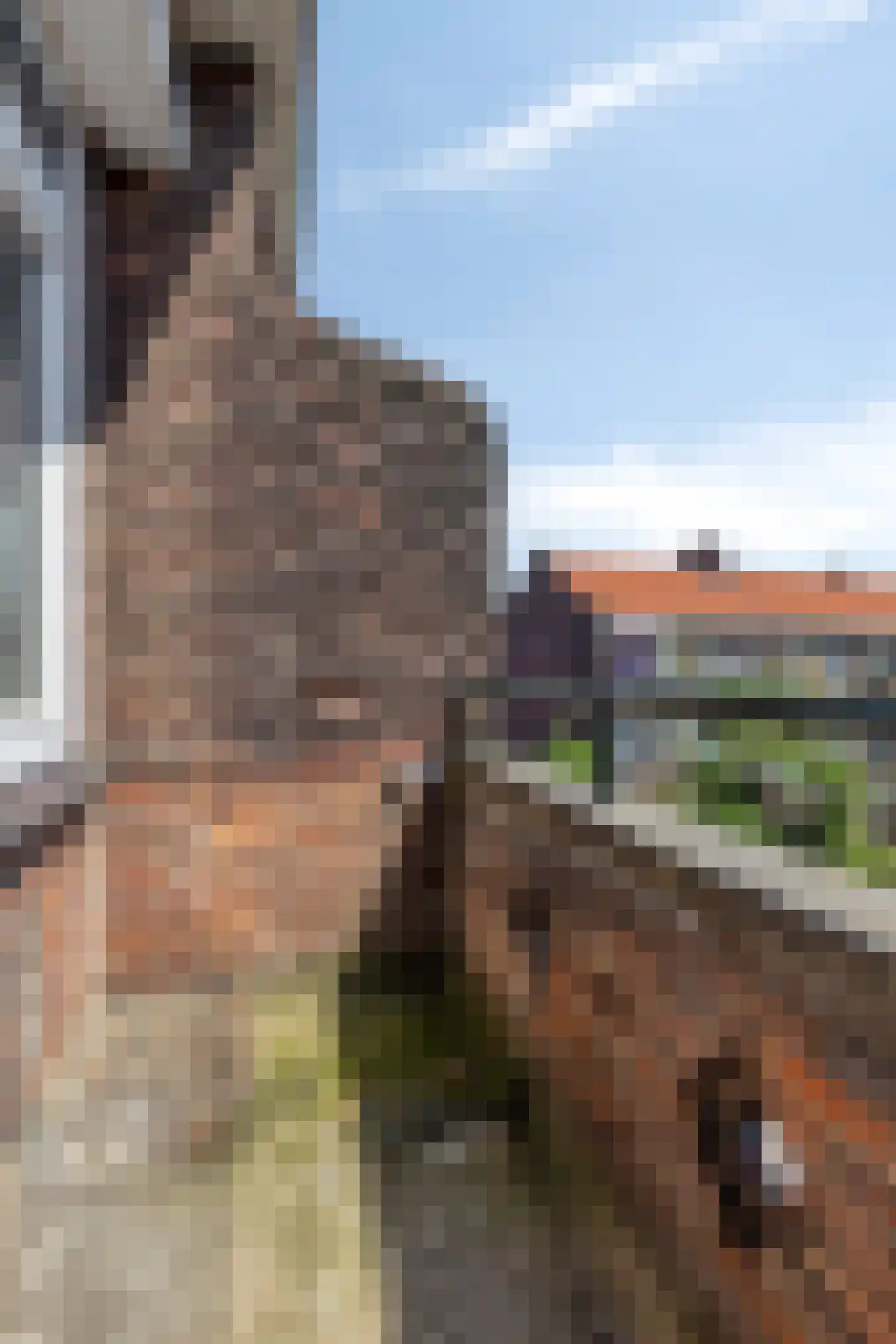 Hogenbanweg 162 C Rotterdam thumbnail 25
