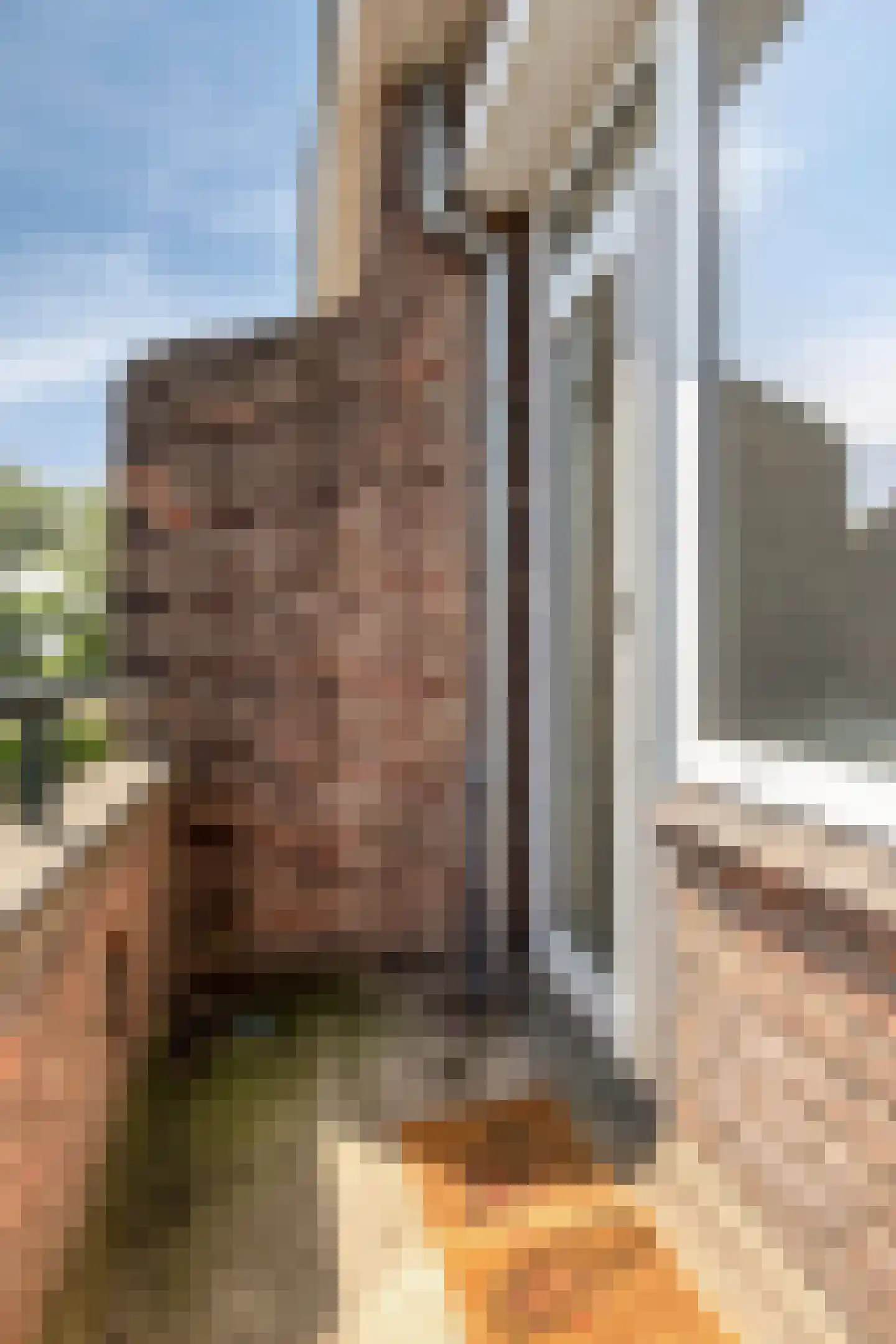 Hogenbanweg 162 C Rotterdam thumbnail 26