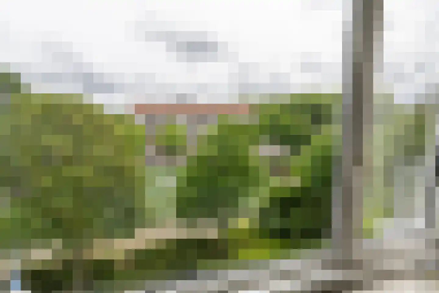 Hogenbanweg 425 Schiedam thumbnail 13