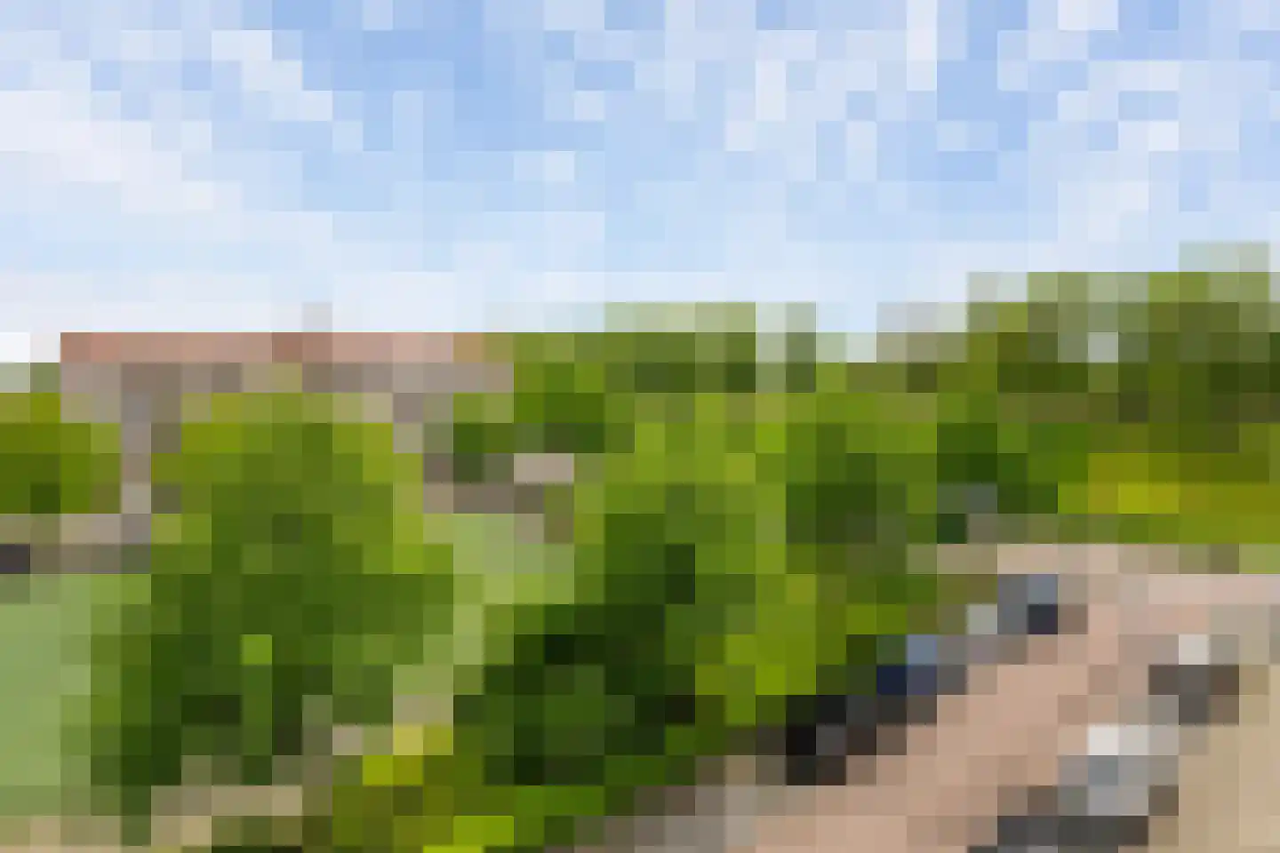 Hogenbanweg 425 Schiedam thumbnail 17