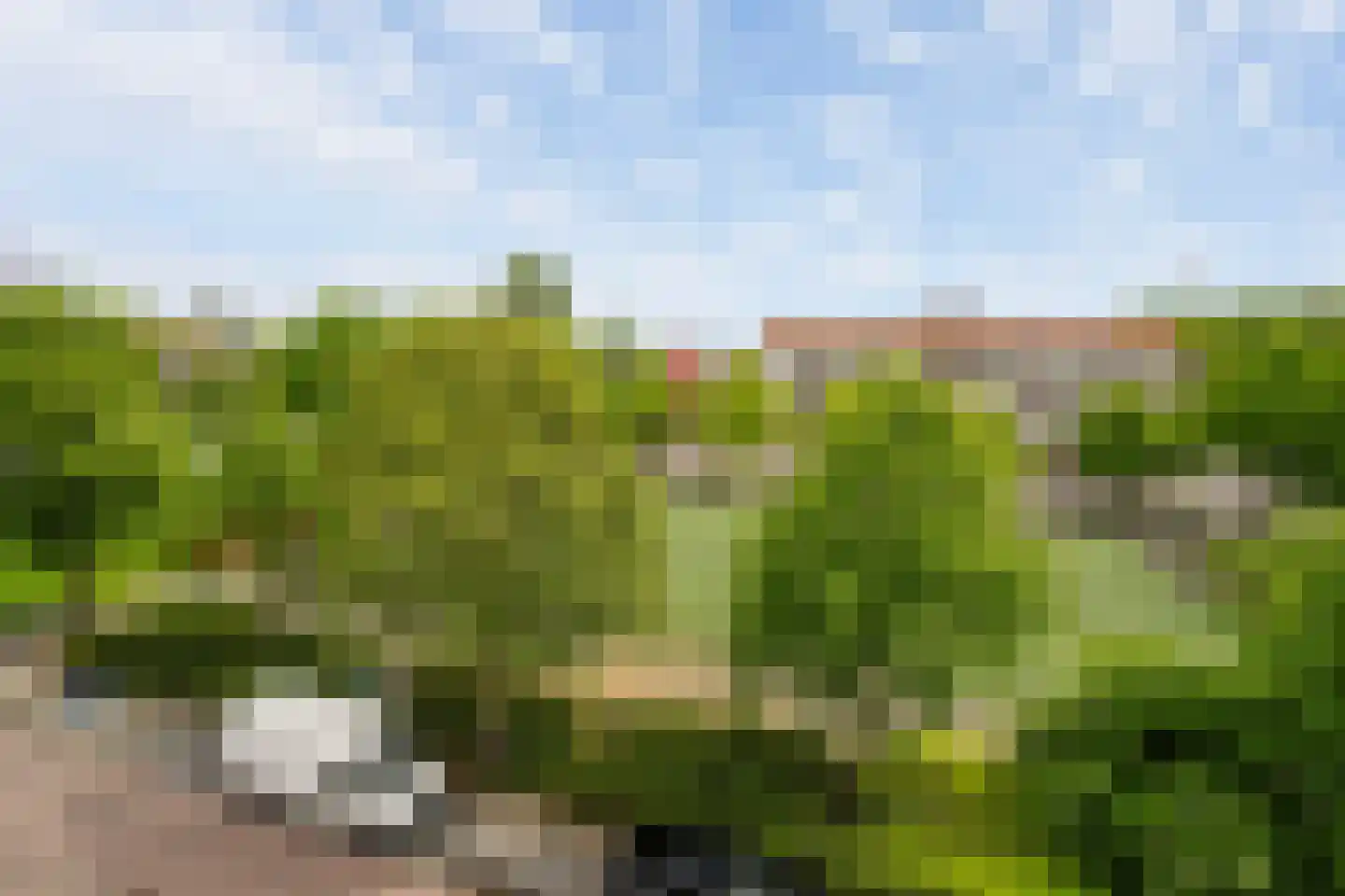 Hogenbanweg 425 Schiedam thumbnail 18