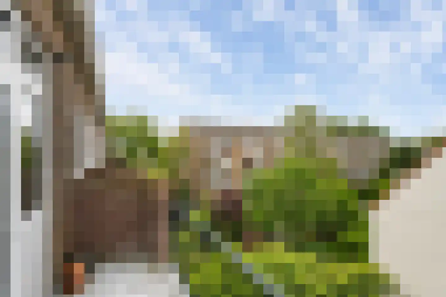 Hogenbanweg 425 Schiedam thumbnail 21