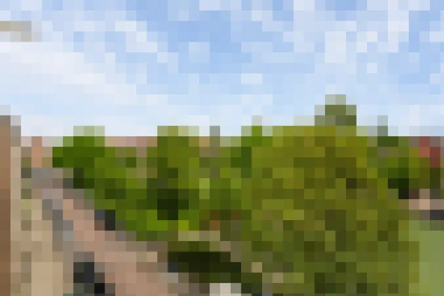 Hogenbanweg 425 Schiedam thumbnail 32