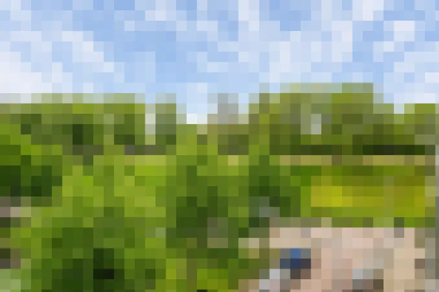 Hogenbanweg 425 Schiedam thumbnail 33