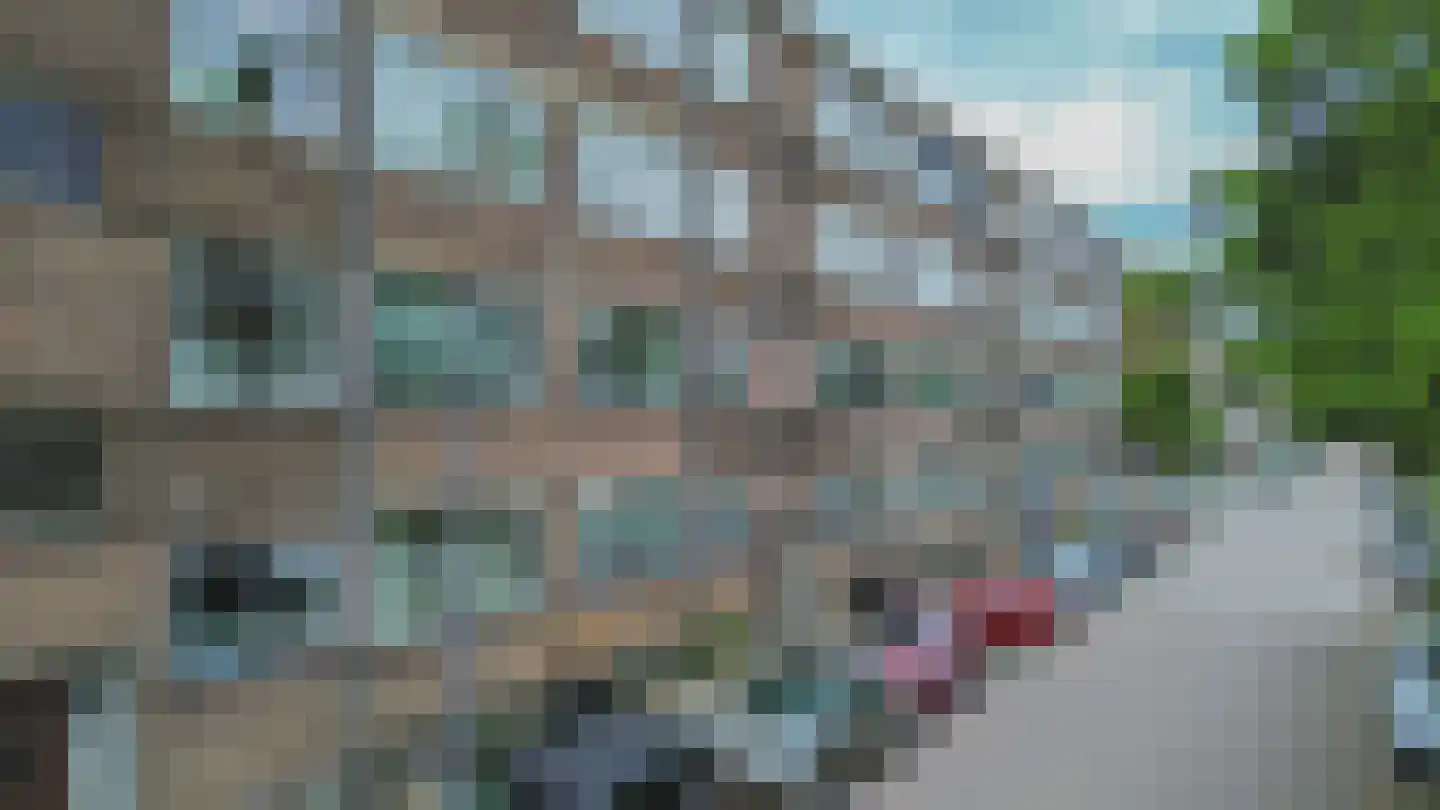 Hogenbanweg 70 B Rotterdam thumbnail 26