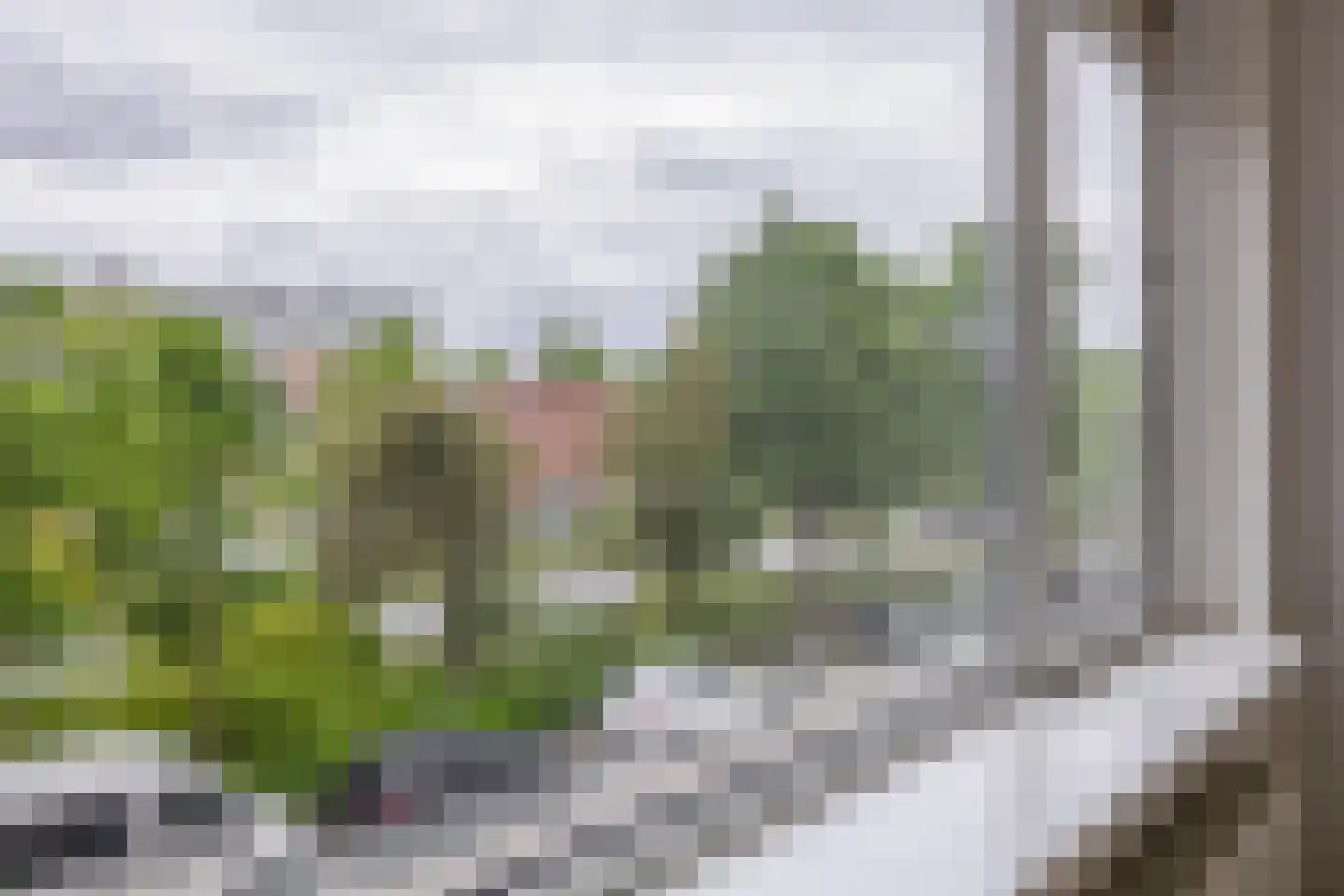 Hogenbanweg 70 D Rotterdam thumbnail 4