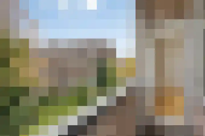 Hogenbanweg 74 D Rotterdam thumbnail 9