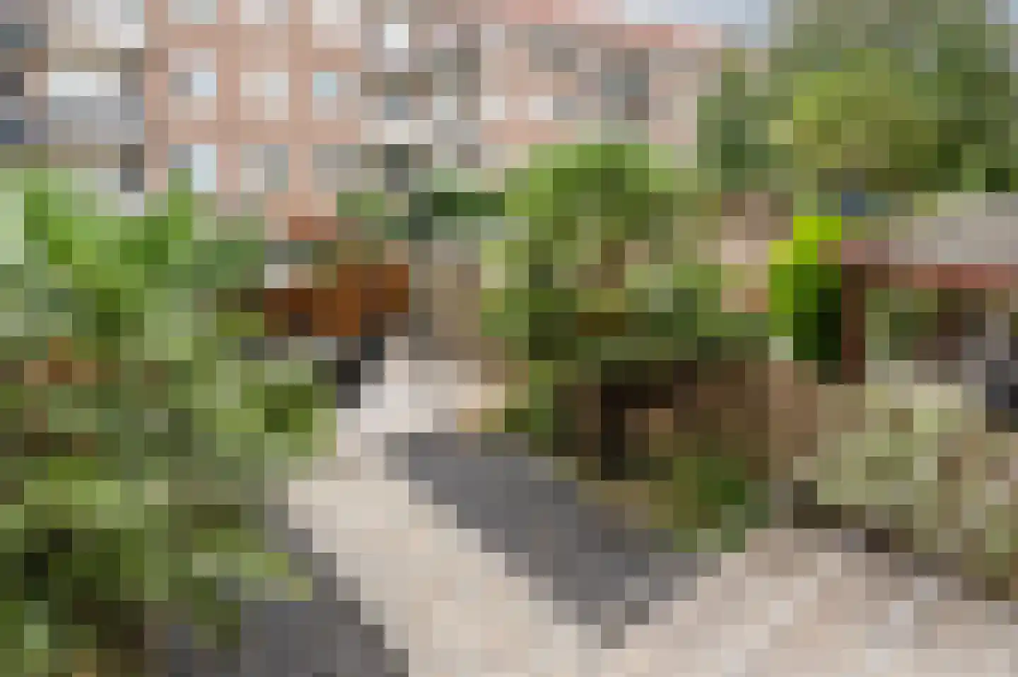 Hogenbanweg 88 A Rotterdam thumbnail 23