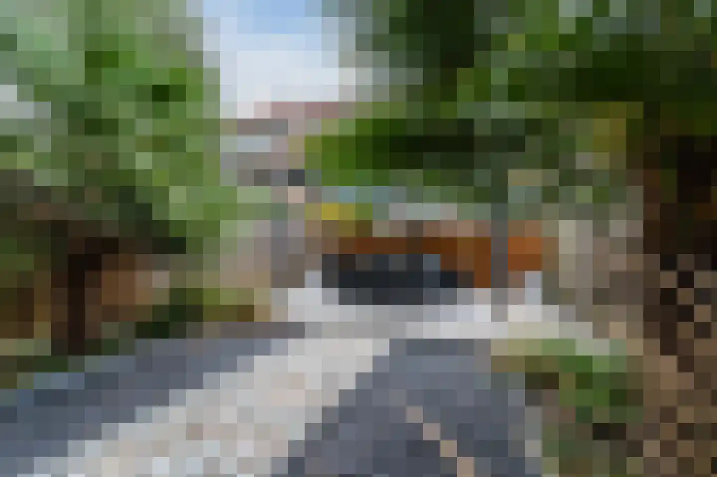 Hogenbanweg 88 A Rotterdam thumbnail 5